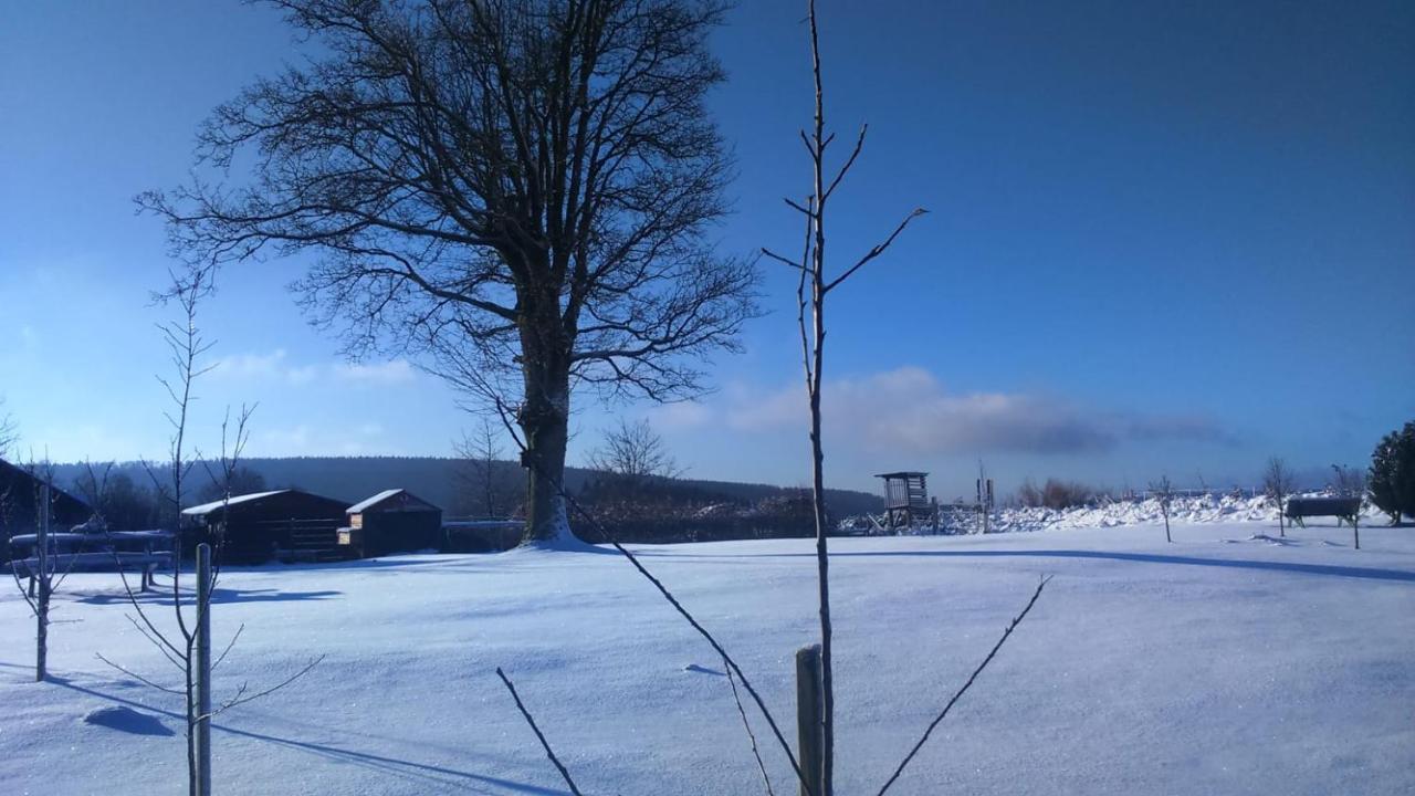 B&B All Seasons Winterberg Exterior photo
